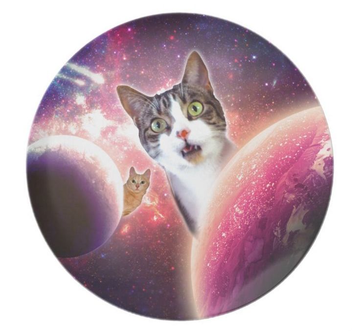 полотенце космический кот