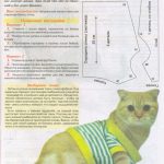 Лучшие выкройки одежды для кошек и котов + инструкции по пошиву своими руками