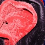 Что такое астраган, из какого животного делают
